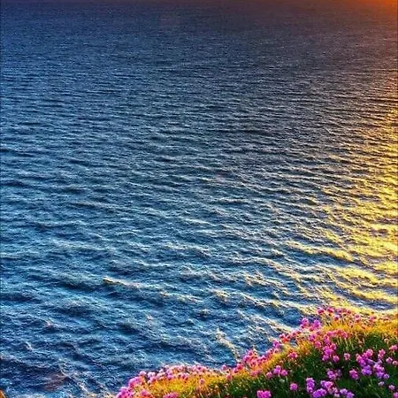 La Mata, * Torrevieja