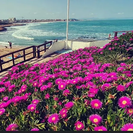 Apartment La Mata,