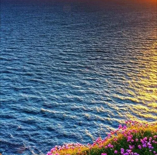 La Mata, * Torrevieja