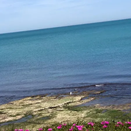 La Mata, Апартаменты Торевьиа